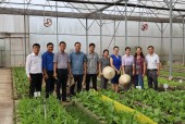 Tỉnh UV Bí thư Huyện ủy Quách Thị Ánh đi thăm nông trại hữu cơ Việt Hà xã An Khương