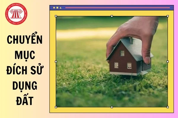 Hình ảnh minh họa. Nguồn: internet.